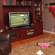 Illustration for article titled Tiger Woods Putts Baby Into Diaper